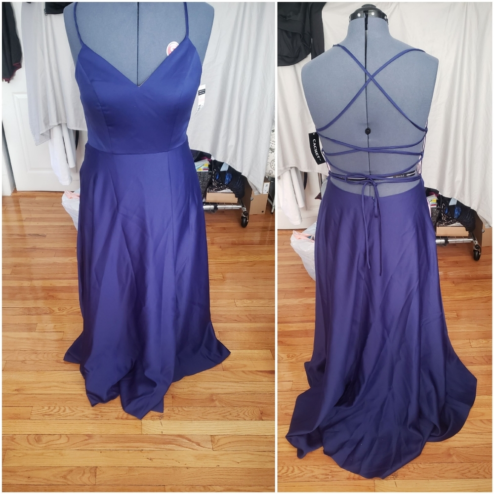 Navy Pink cachet Prom wedding evening Dress nwt 10